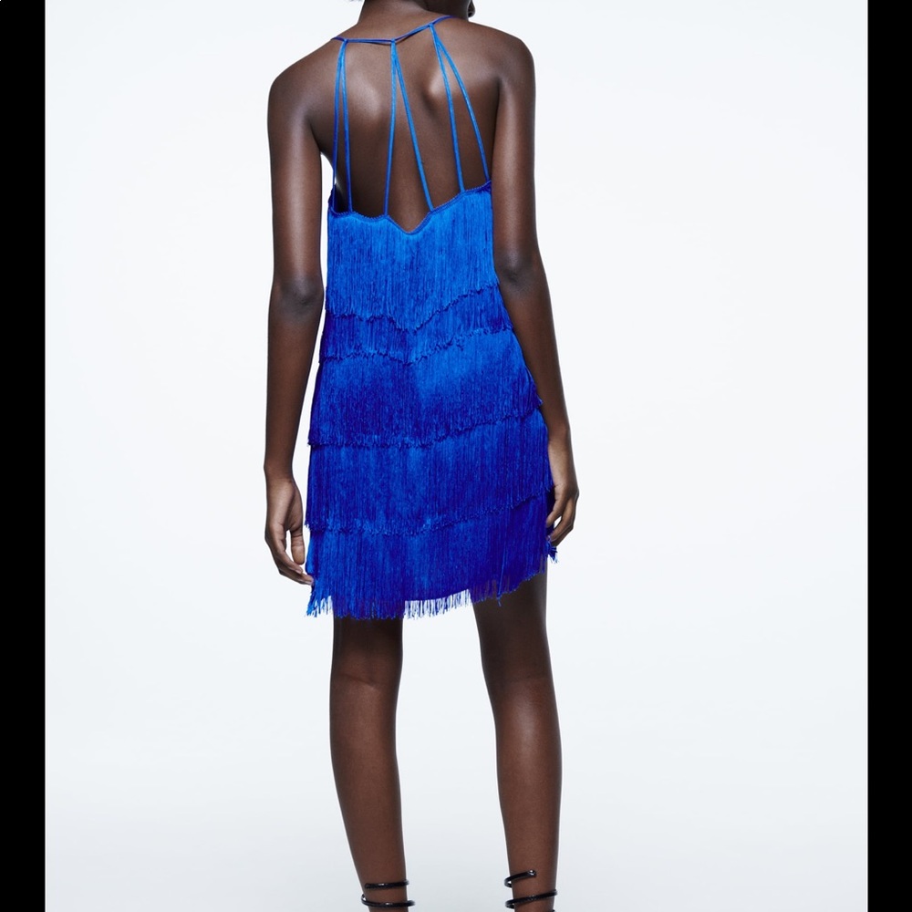 • Zara • Fringed Mini Dress - Picture 4 of 11